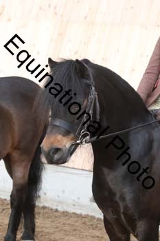 EQU-1232