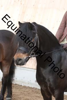 EQU-1233