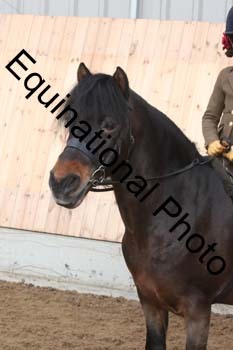 EQU-1234