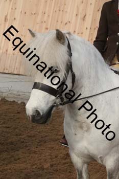 EQU-1238