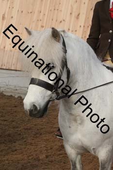 EQU-1239