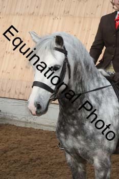 EQU-1241