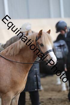 EQU-1294