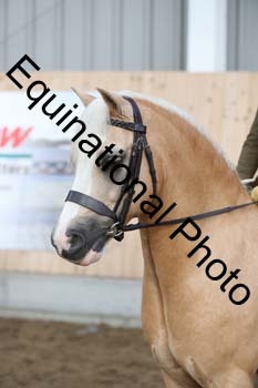 EQU-1300
