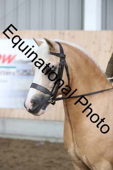 EQU-1301