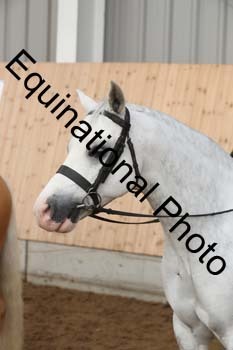 EQU-1302