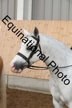 EQU-1303