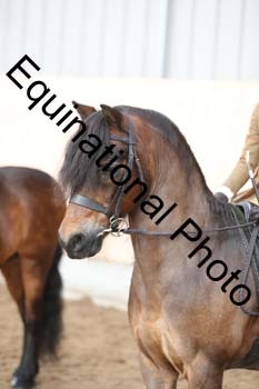 EQU-1306