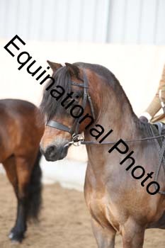 EQU-1307