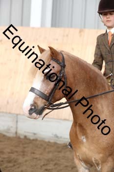 EQU-1308