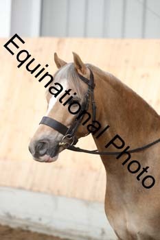 EQU-1311