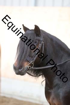 EQU-1315