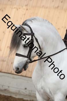 EQU-1317