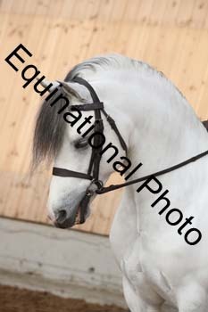 EQU-1319