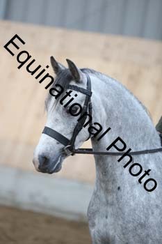 EQU-1367