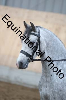 EQU-1368