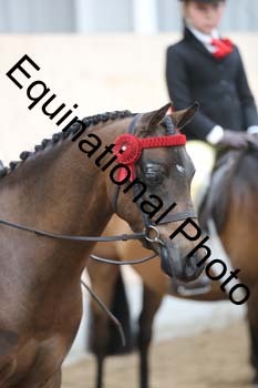 EQU-1934