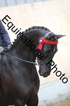EQU-1947