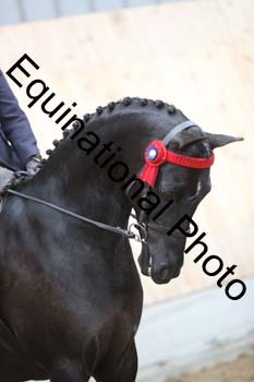 EQU-1948