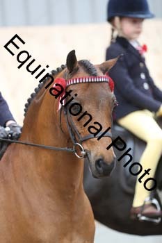 EQU-1956
