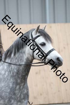 EQU-2384