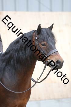 EQU-2389