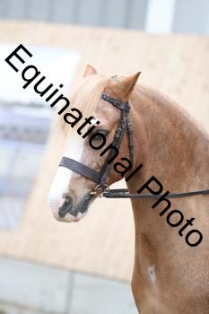 EQU-2398