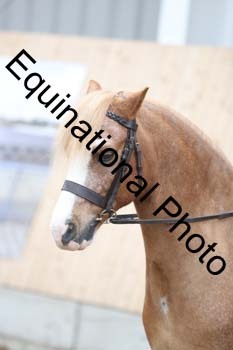 EQU-2399