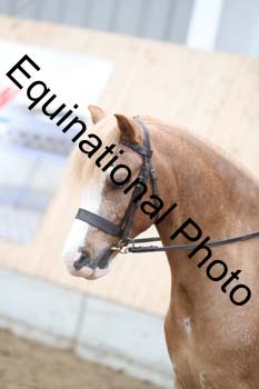EQU-2404
