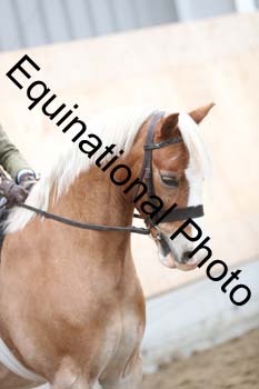 EQU-2416
