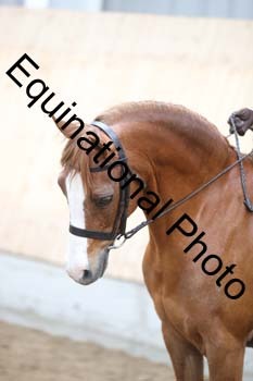 EQU-2430