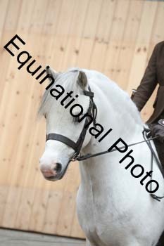 EQU-2438