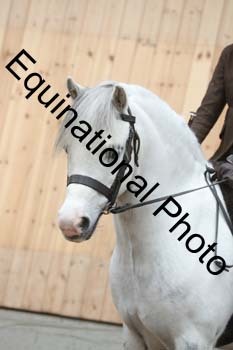 EQU-2439