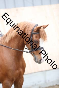 EQU-2444
