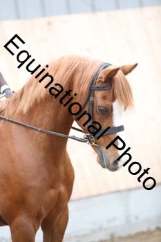 EQU-2445