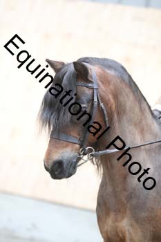 EQU-2457