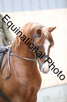 EQU-2464