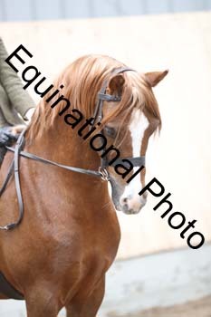 EQU-2465
