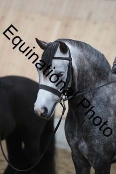 EQU-2763