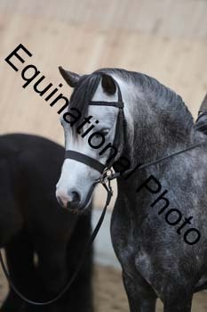 EQU-2764