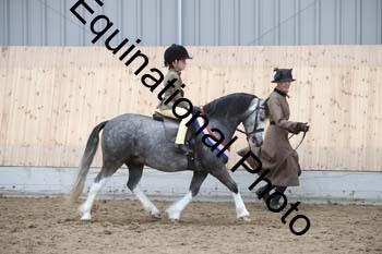 EQU-2799