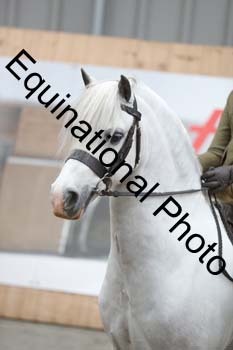 EQU-3065