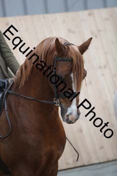 EQU-3079