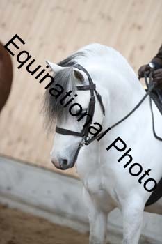 EQU-3085