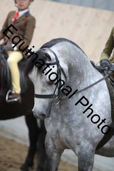 EQU-3098