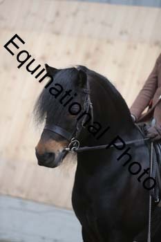 EQU-3111