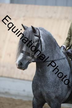 EQU-3116