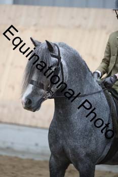 EQU-3117