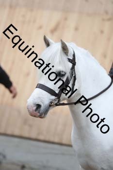 EQU-3122