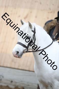 EQU-3123